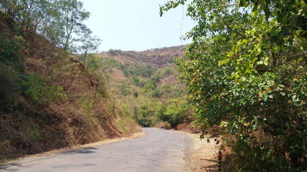 istock Leading empty roads through hills and nature 1156829700