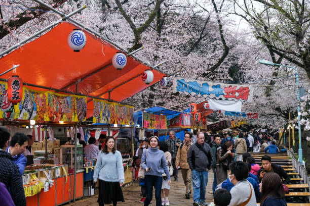 la gente disfruta de la flor de cerezo en el parque ueno. - scented asia asian culture bunch fotografías e imágenes de stock