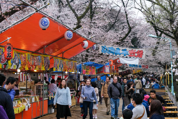 ludzie lubią kwiat wiśni w parku ueno. - scented asia asian culture bunch zdjęcia i obrazy z banku zdjęć