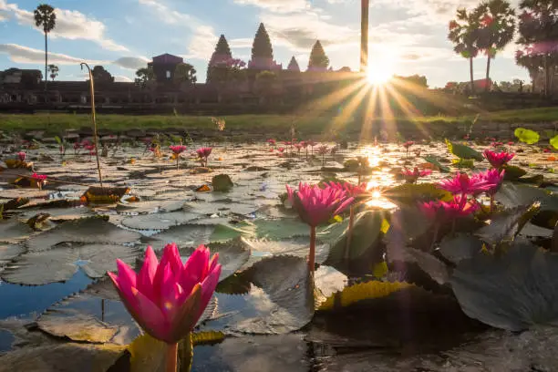 Photo of Beautiful sunrise over Angkor Wat one of the UNESCO world heritage site in Siem Reap, Cambodia look through lotus pond.