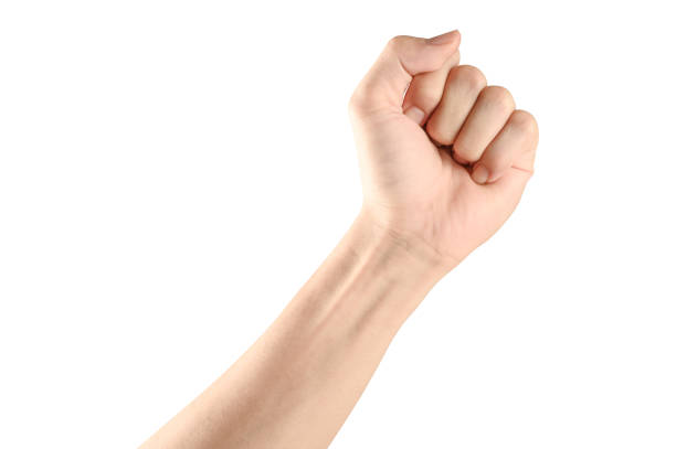 istock visible veins arm and hand isolated on a white background 1156832405