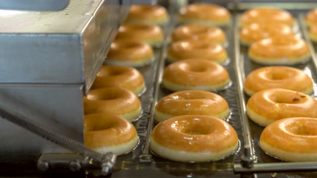 donuts cooking in oil on conveyor belt factory