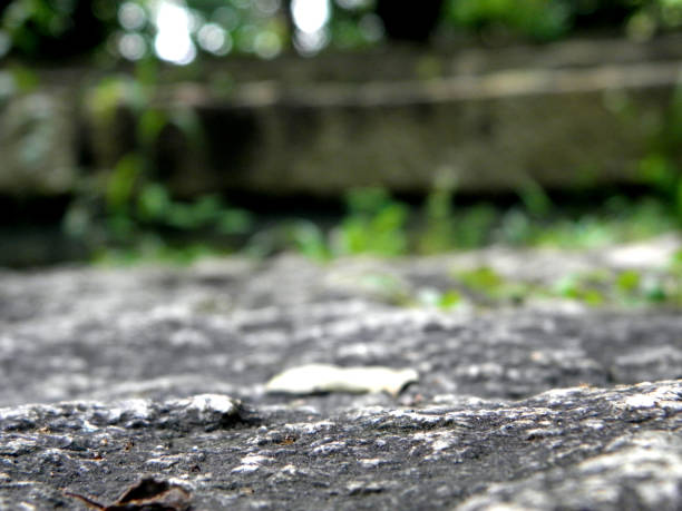 istock Old rough stone in the park close-up 1156837654