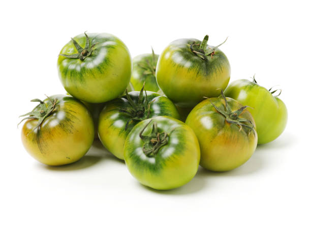 istock fresh green tomato isolated on white background 1156837673