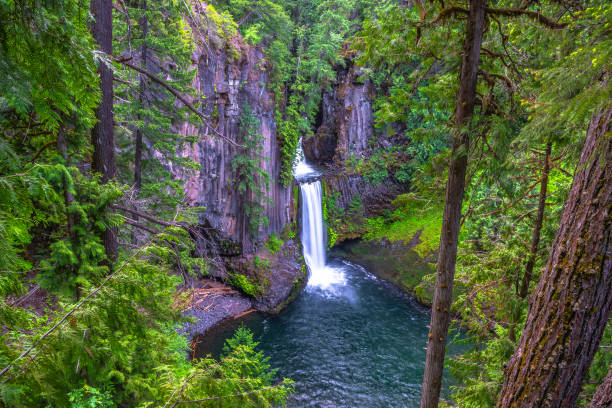 istock Sunrise Hike Toketee Falls in Oregon 1156838870