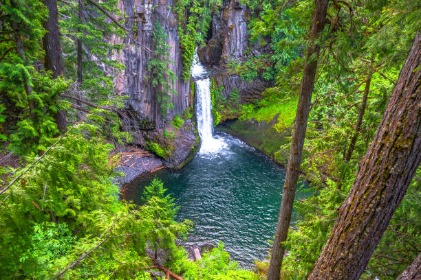 istock Sunrise Hike Toketee Falls in Oregon 1156838990