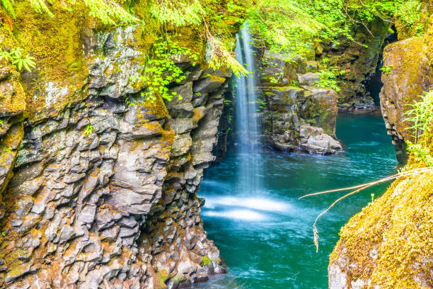 istock Sunrise Hike Toketee Falls in Oregon 1156839008