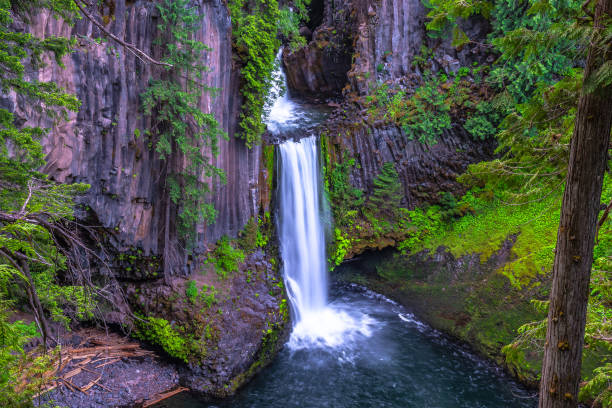 istock Sunrise Hike Toketee Falls in Oregon 1156839551