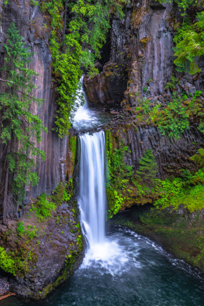 istock Sunrise Hike Toketee Falls in Oregon 1156839553