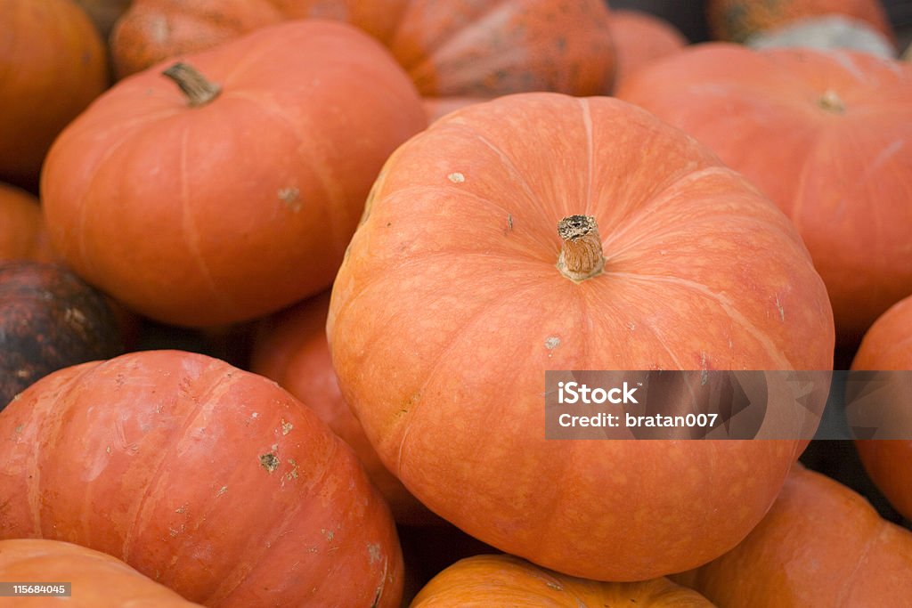 Amplio Pumpkins - Foto de stock de Aldea libre de derechos