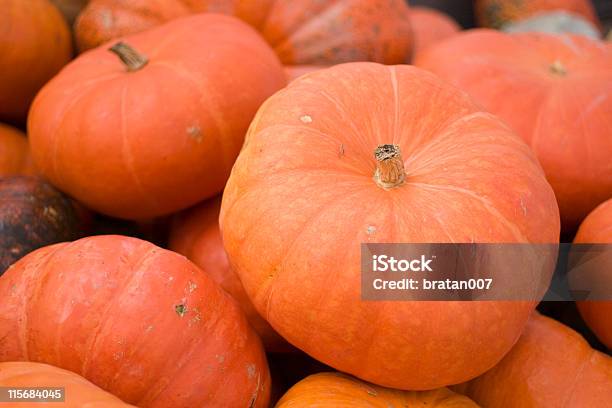 Amplio Pumpkins Foto de stock y más banco de imágenes de Aldea - Aldea, Calabaza gigante, Color - Tipo de imagen