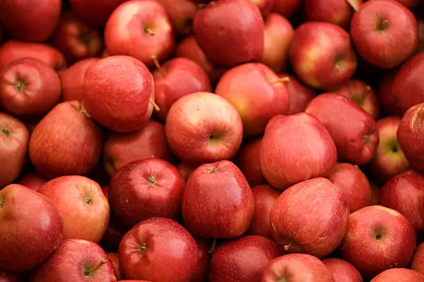 Photo of Close-up of a bunch of ripe red apples