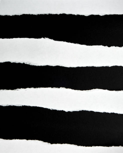 istock torn blank white paper strips against a black background 1156843338