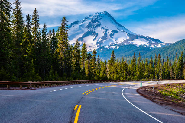 Clear Skies Over Mount Hood in Oregon stock photo