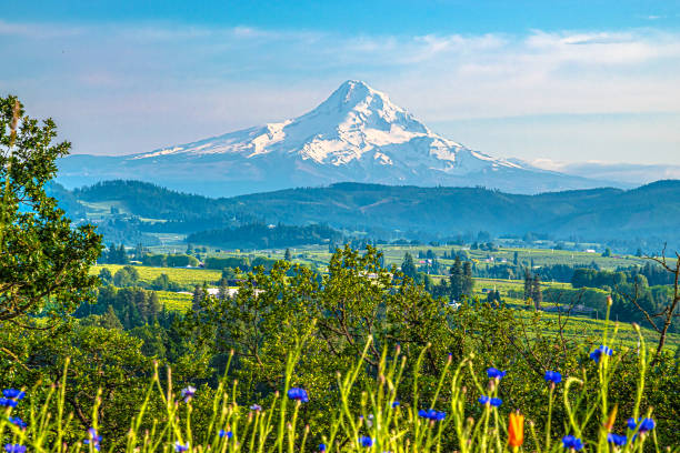 istock Clear Skies Over Mount Hood in Oregon 1156844419