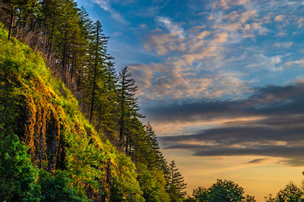 Colorful Sunset at Horsethief Falls on the Columbia Gorge in Portland, Oregon stock photo