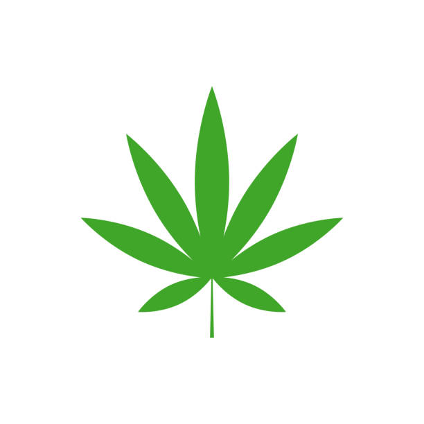 illustrazioni stock, clip art, cartoni animati e icone di tendenza di vettore foglia di cannabis - ambiente floreale