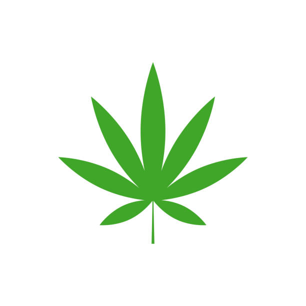 ilustrações de stock, clip art, desenhos animados e ícones de cannabis leaf vector - narcotic medicine symbol marijuana