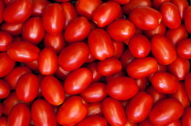istock Fresh red plum tomatoes on the market. 1156848673