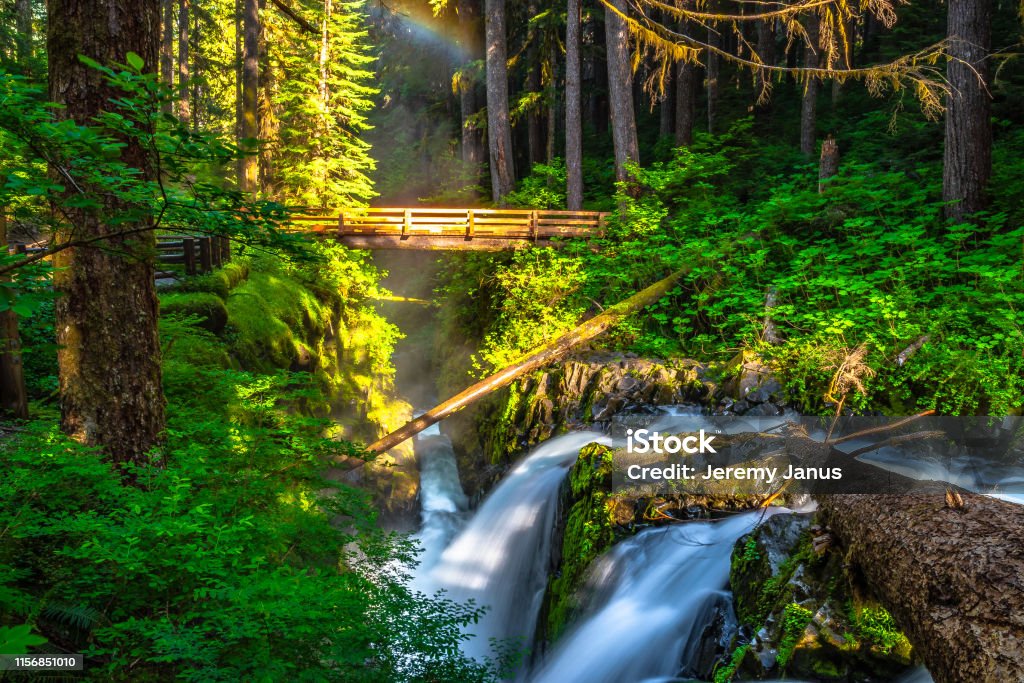Beautiful Sunrise Hike to Sol Duc Falls in Olympic National Park in Washington Olympic National Park Stock Photo