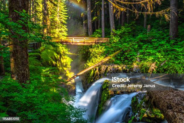 Beautiful Sunrise Hike To Sol Duc Falls In Olympic National Park In Washington Stock Photo - Download Image Now