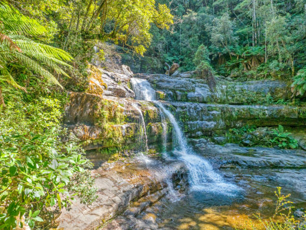 istock Liffey Falls in Tasmania 1156853069
