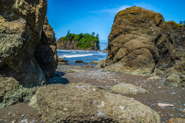 istock Beautiful Morning Hike To Ruby Beach in Olympic National Park in Washington 1156853294