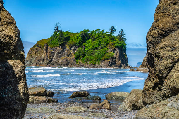 istock Beautiful Morning Hike To Ruby Beach in Olympic National Park in Washington 1156853408