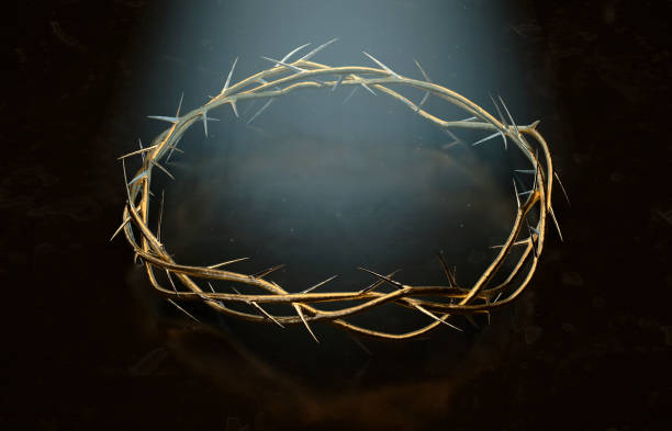 istock Crown Of Thorns 1156854822