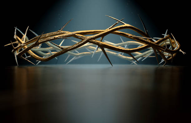 istock Crown Of Thorns 1156854879