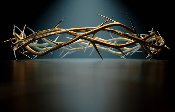 Crown Of Thorns Branches of thorns woven into a gold crown depicting the crucifixion on a dark spotlit background - 3D render the passion of jesus stock pictures, royalty-free photos & images