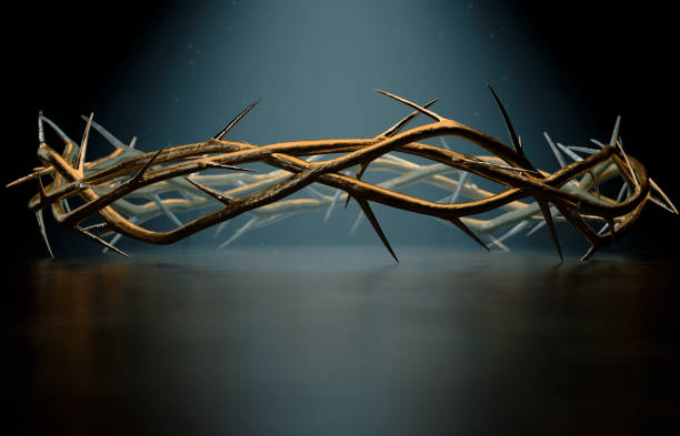 istock Crown Of Thorns 1156854934