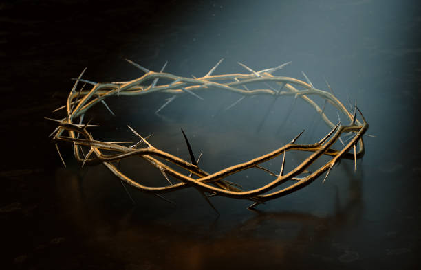 istock Crown Of Thorns 1156854963