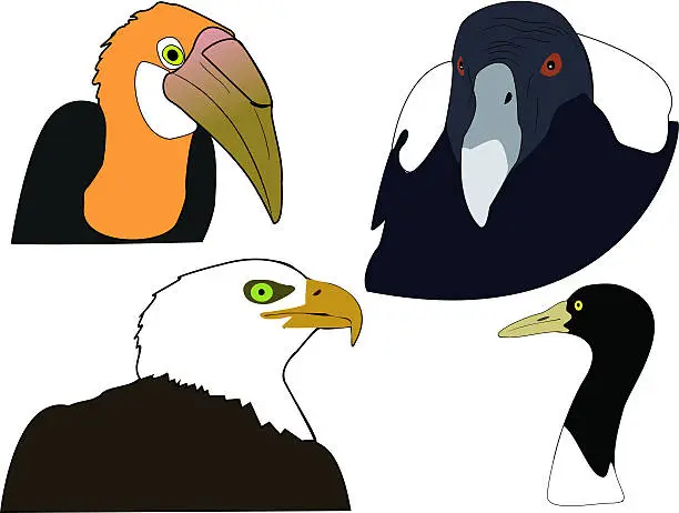 Vector illustration of Bird heads