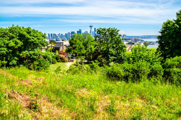 istock Beautiful Clear Day in Seattle, Washington 1156855898