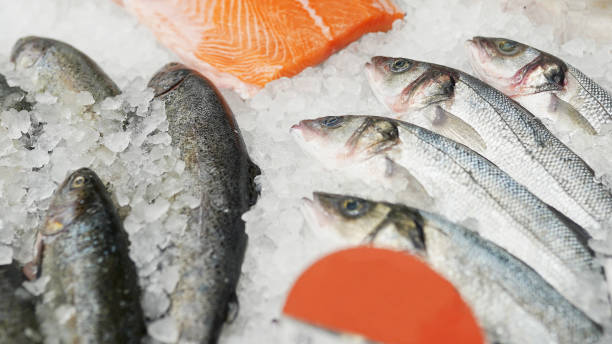 frozen fish in boxes in supermarket or store frozen fish in boxes in supermarket or store cooler container photos stock pictures, royalty-free photos & images