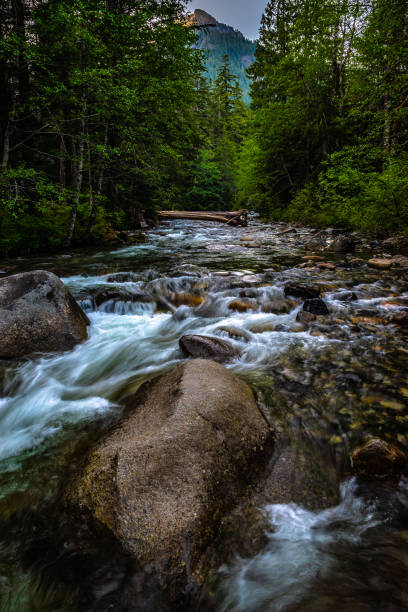 istock Beautiful Sunset Hike to Franklin Falls in Washington 1156857829