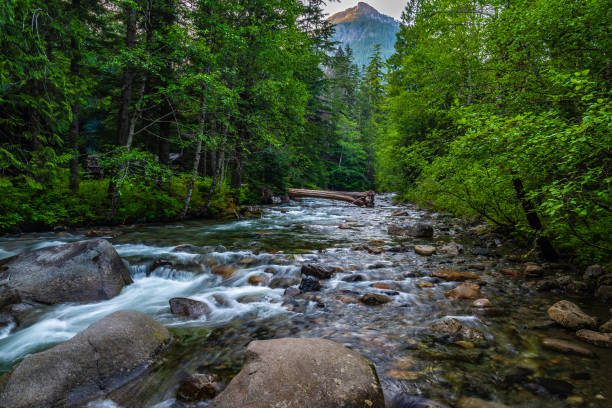 istock Beautiful Sunset Hike to Franklin Falls in Washington 1156857904