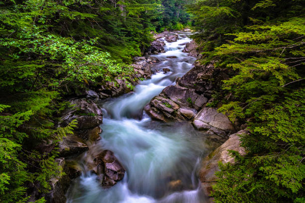 Beautiful Sunset Hike to Franklin Falls in Washington