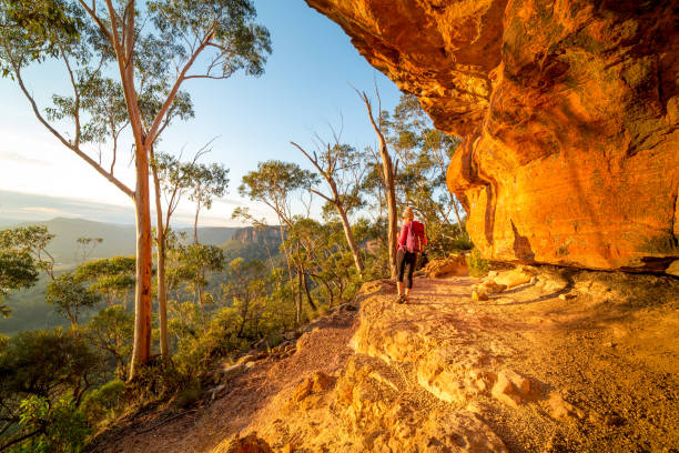 istock Bushwalker admiring afternoon views of Blue mountains 1156859356