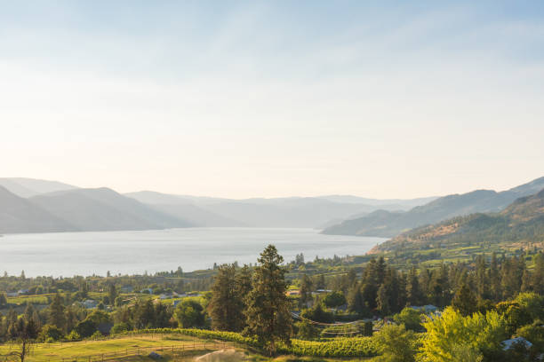 vista di campi verdi, frutteti, vigneti, lago, montagne, cielo la sera d'estate all'ora d'oro - okanagan vineyard okanagan valley valley foto e immagini stock