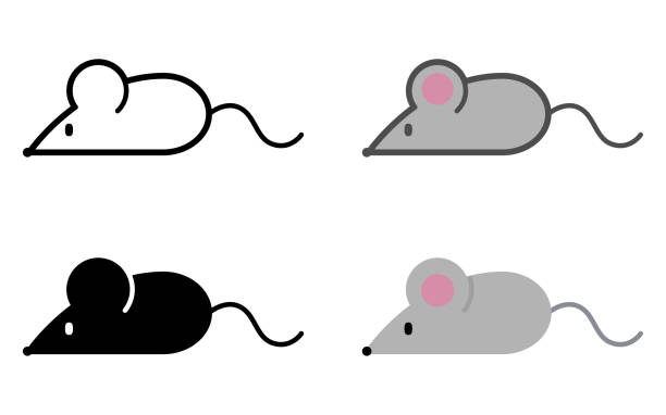 간단한 만화 마우스 아이콘 - 쥐 stock illustrations