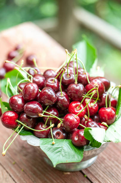 istock Fresh sweet cherries in plate 1156863863