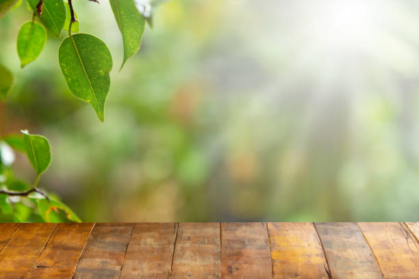 Wooden board empty table in front of blurred natural background. Perspective Old wood over blur in natural for display of product