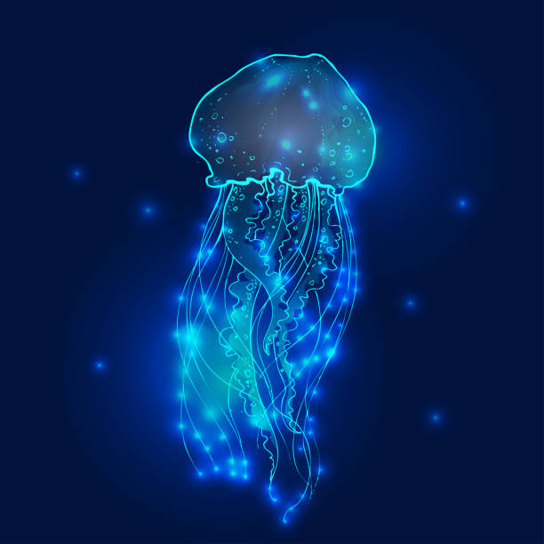 istock Transparent glowing neon blue and turquoise medusa blubber jellyfish set decorative background poster 1156868024