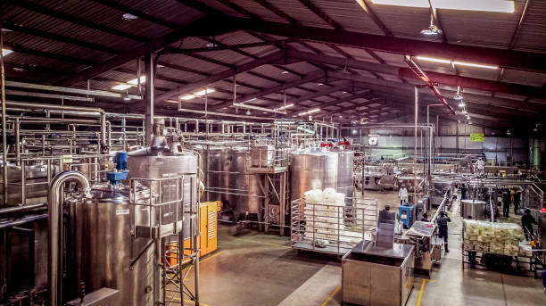 Wine yard Wine production in a modern winery