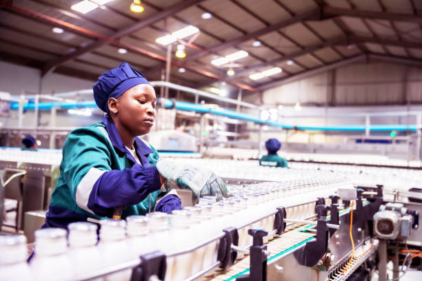 lavoratrice della linea di produzione in una fabbrica lattiero-casearia in africa - food processing plant manufacturing factory food foto e immagini stock