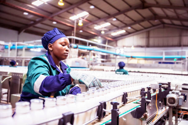 trabalhador da linha de produção fêmea em uma fábrica da leiteria em áfrica - minimum wage - fotografias e filmes do acervo