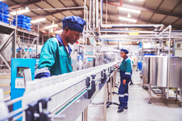 Quality Inspectors Checking Milk Bottles on the Conveyor Belt at a Dairy Plant in Africa Africa, Business, Industry, Engineer - Factory Workers Checking Fresh Milk Bottles on the Conveyor Belt. minimum wage stock pictures, royalty-free photos & images