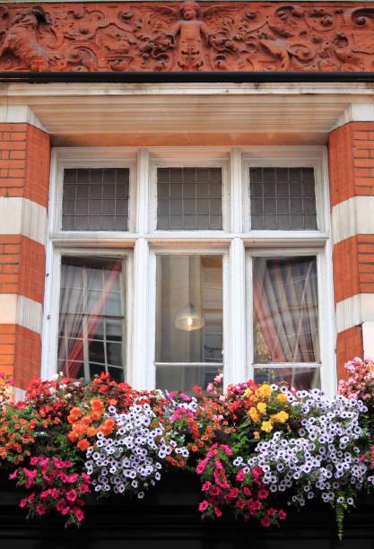 istock Renaissance window with colourful flowers 1156873951